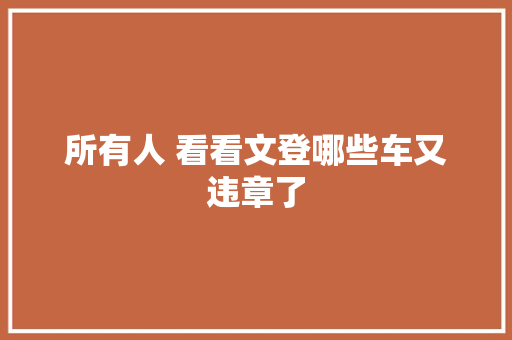 所有人 看看文登哪些车又违章了