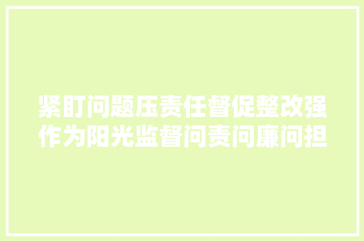 紧盯问题压责任督促整改强作为阳光监督问责问廉问担当聚焦彭州市