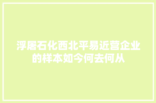 浮屠石化西北平易近营企业的样本如今何去何从