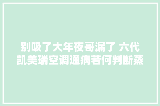 别吸了大年夜哥漏了 六代凯美瑞空调通病若何判断蒸发器泄漏