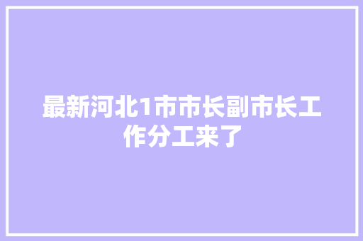 最新河北1市市长副市长工作分工来了