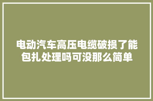 电动汽车高压电缆破损了能包扎处理吗可没那么简单