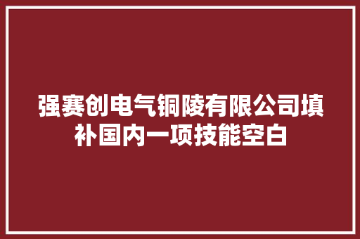 强赛创电气铜陵有限公司填补国内一项技能空白