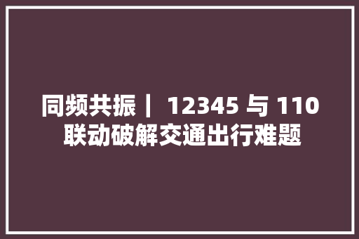 同频共振｜ 12345 与 110 联动破解交通出行难题