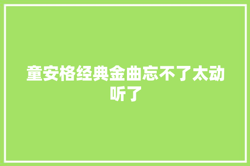 童安格经典金曲忘不了太动听了