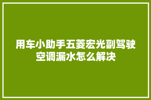 用车小助手五菱宏光副驾驶空调漏水怎么解决