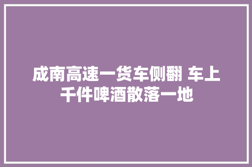 成南高速一货车侧翻 车上千件啤酒散落一地