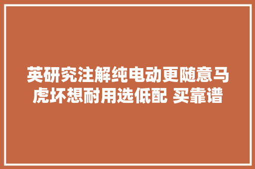 英研究注解纯电动更随意马虎坏想耐用选低配 买靠谱的难吗