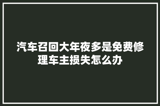 汽车召回大年夜多是免费修理车主损失怎么办