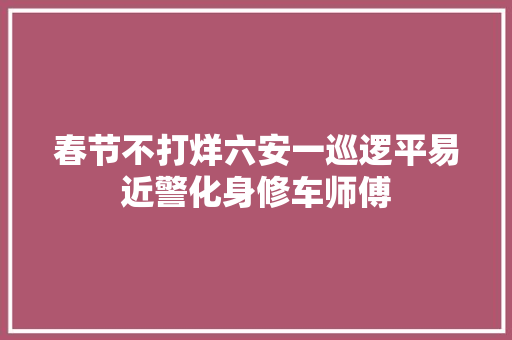 春节不打烊六安一巡逻平易近警化身修车师傅
