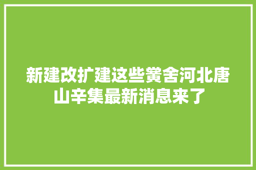 新建改扩建这些黉舍河北唐山辛集最新消息来了