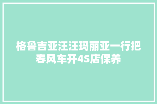 格鲁吉亚汪汪玛丽亚一行把春风车开4S店保养