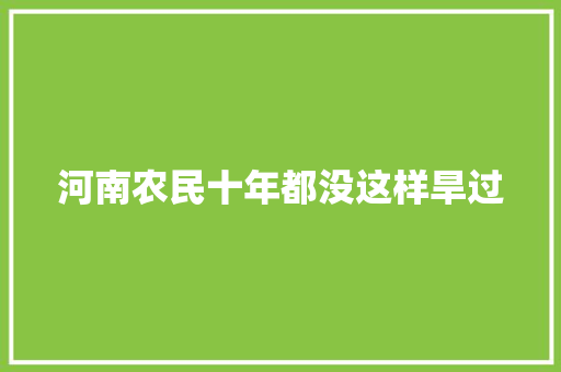 河南农民十年都没这样旱过