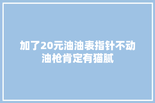 加了20元油油表指针不动油枪肯定有猫腻