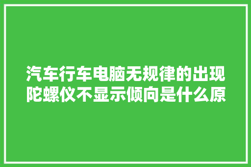 汽车行车电脑无规律的出现陀螺仪不显示倾向是什么原因 汽车知识