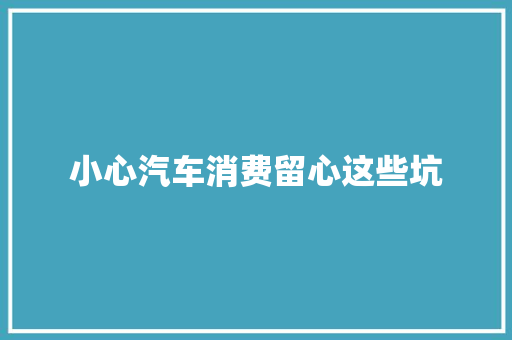 小心汽车消费留心这些坑 汽车知识