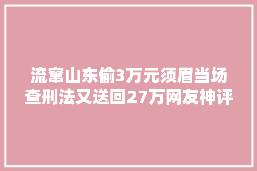 流窜山东偷3万元须眉当场查刑法又送回27万网友神评论