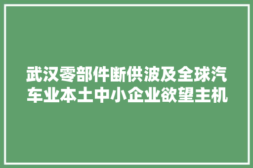 武汉零部件断供波及全球汽车业本土中小企业欲望主机厂不抛弃 汽车知识