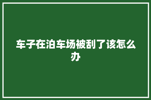 车子在泊车场被刮了该怎么办