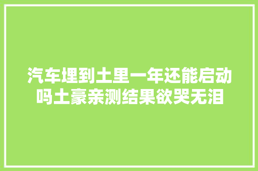 汽车埋到土里一年还能启动吗土豪亲测结果欲哭无泪