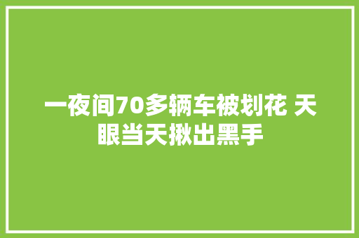 一夜间70多辆车被划花 天眼当天揪出黑手