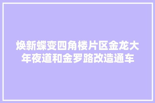 焕新蝶变四角楼片区金龙大年夜道和金罗路改造通车 汽车知识