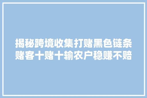 揭秘跨境收集打赌黑色链条赌客十赌十输农户稳赚不赔 汽车知识