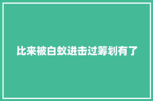 比来被白蚁进击过筹划有了