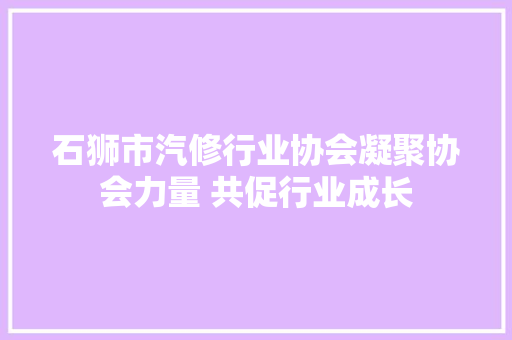 石狮市汽修行业协会凝聚协会力量 共促行业成长 汽车知识