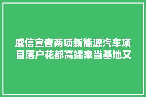 威信宣告两项新能源汽车项目落户花都高端家当基地又添新军