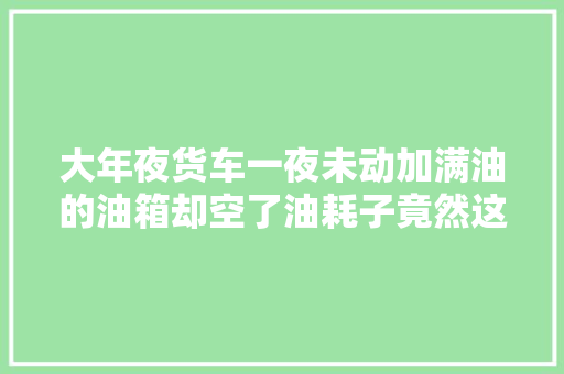 大年夜货车一夜未动加满油的油箱却空了油耗子竟然这样偷油
