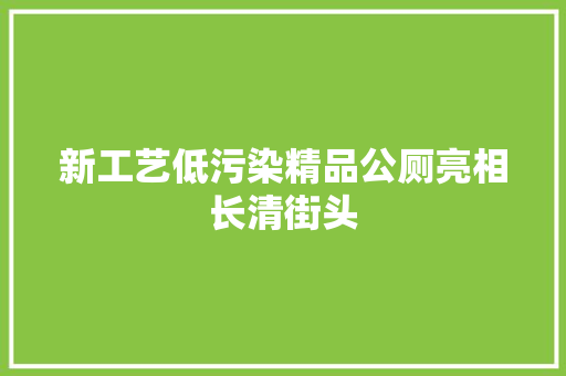 新工艺低污染精品公厕亮相长清街头