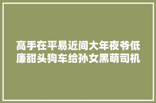 高手在平易近间大年夜爷低廉甜头狗车给孙女黑萌司机逗乐网友