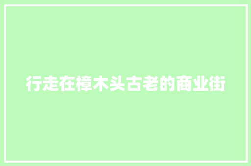 行走在樟木头古老的商业街 汽车知识