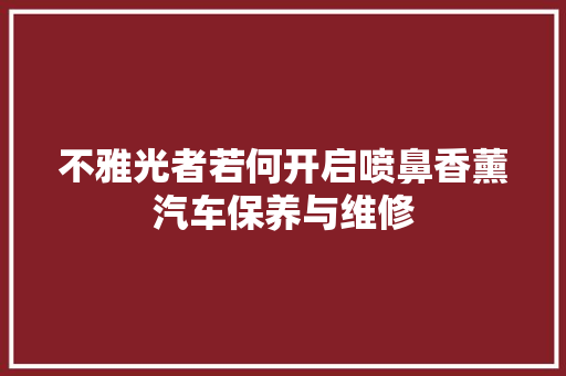 不雅光者若何开启喷鼻香薰汽车保养与维修