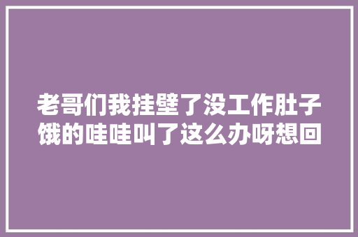 老哥们我挂壁了没工作肚子饿的哇哇叫了这么办呀想回