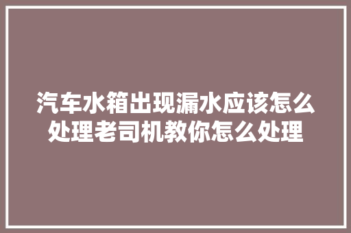 汽车水箱出现漏水应该怎么处理老司机教你怎么处理