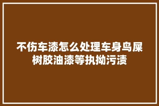 不伤车漆怎么处理车身鸟屎树胶油漆等执拗污渍