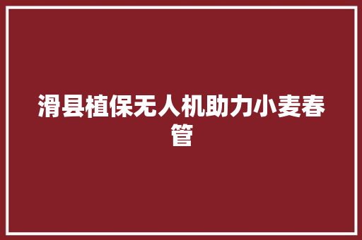 滑县植保无人机助力小麦春管