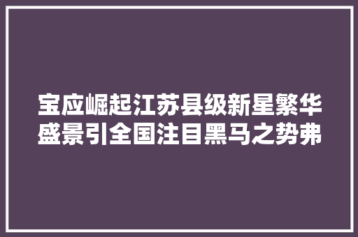 宝应崛起江苏县级新星繁华盛景引全国注目黑马之势弗成挡