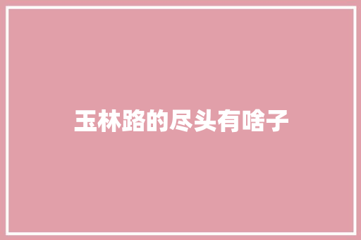 玉林路的尽头有啥子
