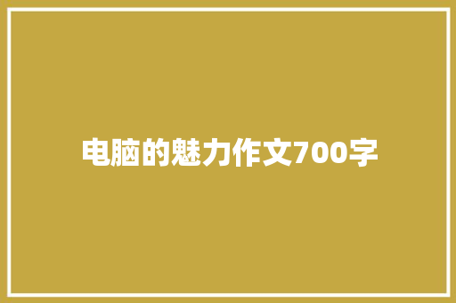 电脑的魅力作文700字