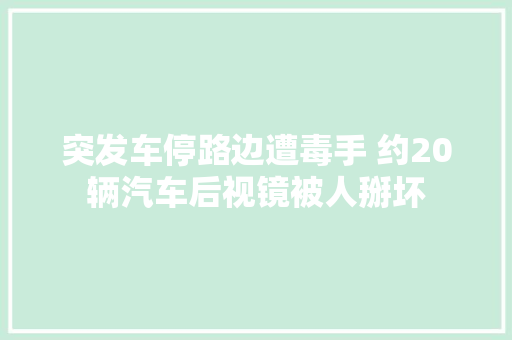 突发车停路边遭毒手 约20辆汽车后视镜被人掰坏