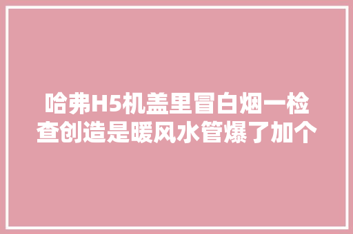 哈弗H5机盖里冒白烟一检查创造是暖风水管爆了加个套管用。