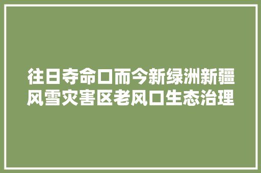 往日夺命口而今新绿洲新疆风雪灾害区老风口生态治理见闻