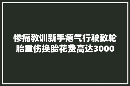 惨痛教训新手瘪气行驶致轮胎重伤换胎花费高达3000 汽车知识