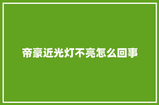 帝豪近光灯不亮怎么回事