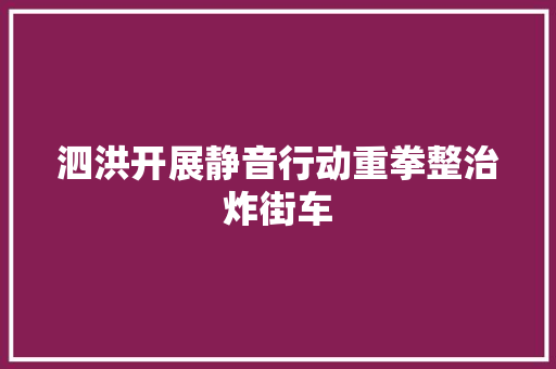泗洪开展静音行动重拳整治炸街车