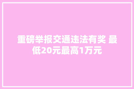 重磅举报交通违法有奖 最低20元最高1万元