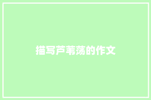 描写芦苇荡的作文